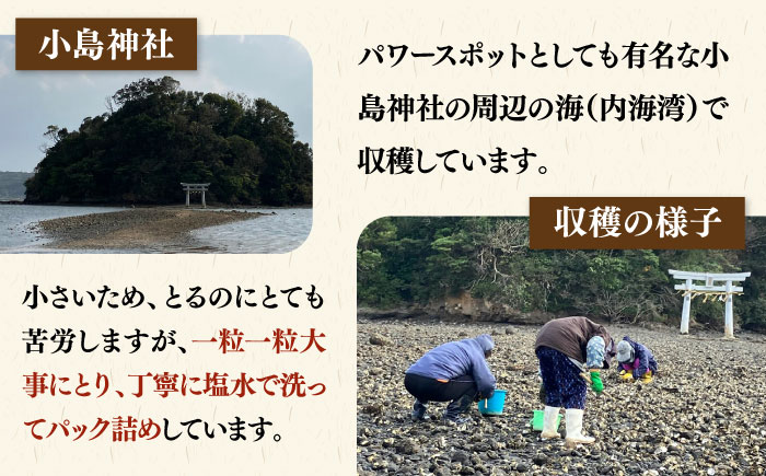 【年内発送】【季節限定】 天然 岩カキ 100g×2パック（生食用）《壱岐市》【鈴の海庭】 牡蠣 カキ 岩牡蠣 貝 魚貝 海産物 おつまみ カキフライ 鍋 カキ鍋 牡蠣鍋 カキ飯 [JFV002]