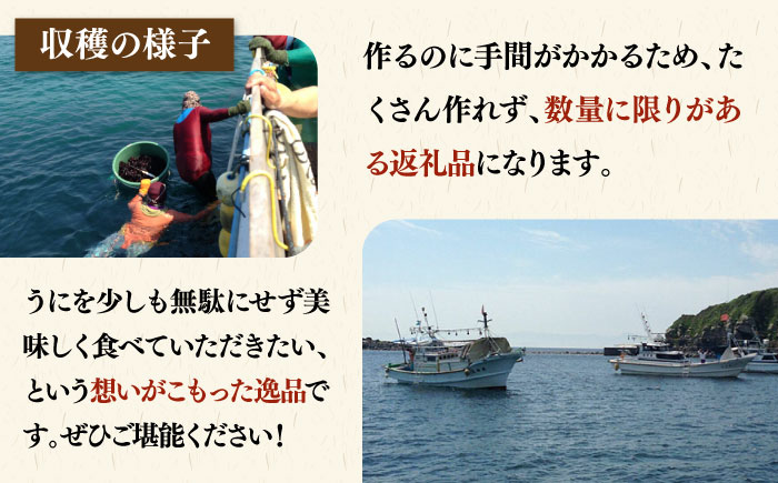 【年内発送】【数量限定】 うにみそ 50g×2本 《壱岐市》【鈴の海庭】 ウニ 雲丹 ウニ味噌 海産物  紫ウニ 珍味 おつまみ ご飯のお供 がぜみそ [JFV003]