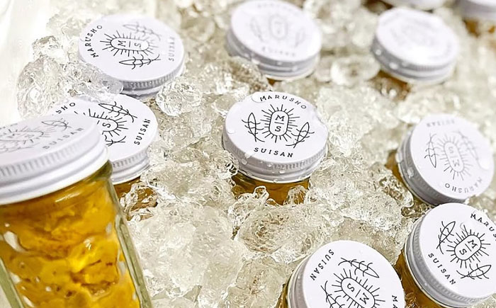 【先行予約】生ウニ 60g 【2026年6月以降順次発送】《壱岐市》【丸昇水産】 うに 雲丹 ウニ 希少 産地直送 ミョウバン不使用 無添加 [JFZ005]