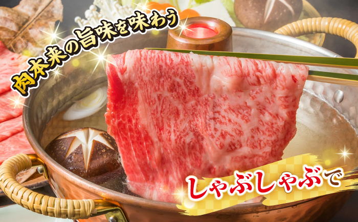 【全2回定期便】【厳選部位】【A4～A5ランク】 長崎和牛 サーロイン スライス 1kg（500g×2パック）（すき焼き・しゃぶしゃぶ）《壱岐市》【株式会社MEAT PLUS】肉 牛肉 黒毛和牛 鍋 ご褒美 冷凍配送 [JGH083]