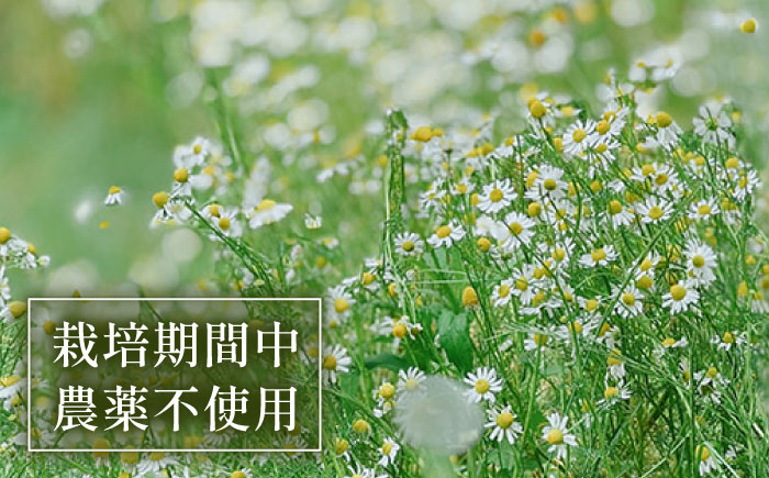 【全4回定期便】壱岐島の四季折々の恵み「旬摘みフラワーティー」アソート6パック《壱岐市》【Island Kiss Innocent】 [JGJ004]