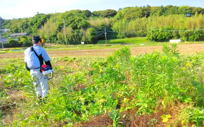 草刈り・墓地清掃・遺品整理等の代行チケット30,000円分《壱岐市》【便利屋とこしえ】 [JGX003] サービス