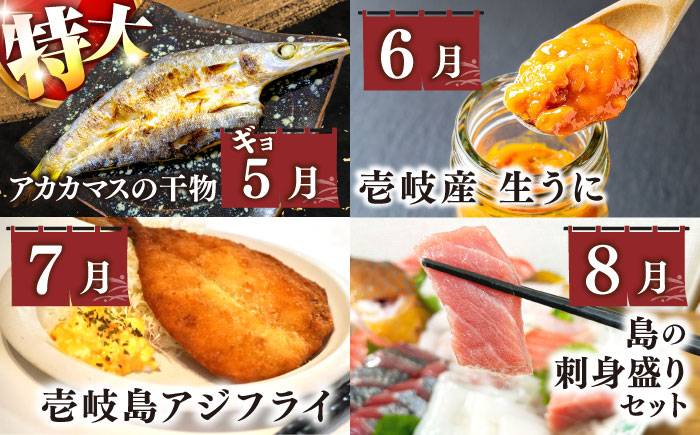 【全12回定期便】 海産物 ギョギョギョ 定期便 （壱）《壱岐市》 鯛 ブリ 刺身 鮮魚 海鮮 フグ とらふぐ [JZX009] 250000 250000円