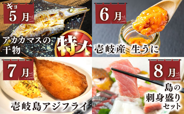 【全10回定期便】 海産物 ギョギョギョ 定期便 《壱岐市》 ウニ 鯛 ブリ 刺身 鮮魚 海鮮 [JZX019]