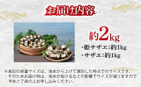 サザエ 2kg セット 《壱岐市》【マルショウ水産】[JBB002] 25000 25000円