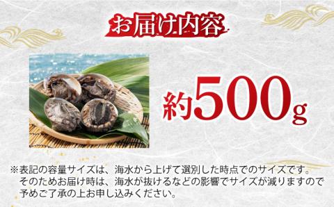 アワビ あわび 500g（100-200g/個）壱岐市 【マルショウ水産】 [JBB003] 46000 46000円