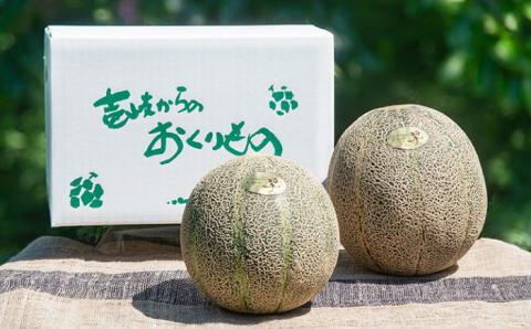 【先行予約】アムスメロン 翠 2個入り【2026年6月中旬以降順次発送】 《壱岐市》【フレッシュメイト壱岐】[JAZ004] 果物 くだもの 果実 フルーツ 13000 13000円