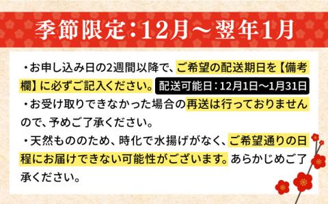 【12月～翌年1月限定】 天然 クエ 丸もの 1本 2～3kg（鍋・刺身4～5人用） 《壱岐市》【丸和水産】 [JCJ023] 82000 82000円