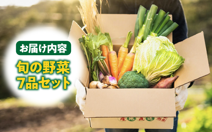 旬のお野菜7品セット 《壱岐市》【壱岐市農業協同組合】[JBO001] 新鮮 やさい ベジタブル 食材 詰め合わせ   のし プレゼント ギフト 10000 10000円 1万円