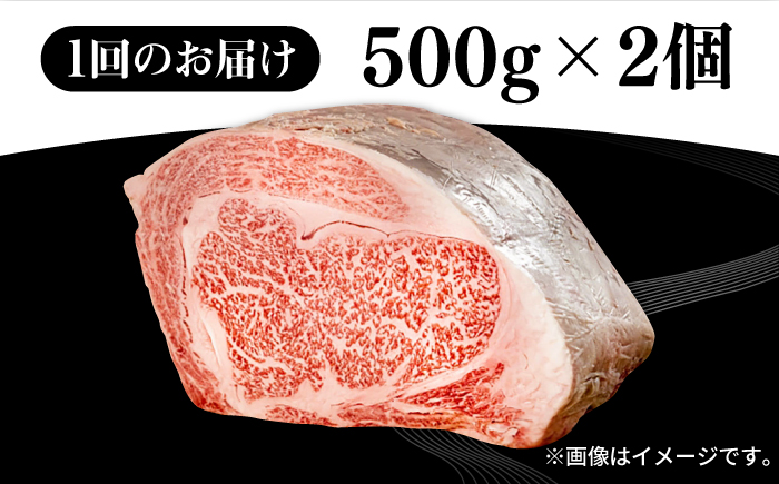 【全2回定期便】 壱岐牛 ロースブロック 1kg（500g×2枚）《壱岐市》【株式会社イチヤマ】 肉 牛肉 ブロック ステーキ BBQ [JFE117] 100000 100000円 10万円