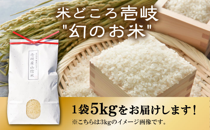 壱岐産 山信米 5kg《壱岐市》【イキテイク合同会社】 穀物 [JFG001] 25000 25000円