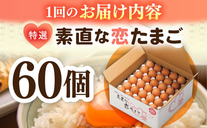 【全3回定期便】特選素直な恋たまご60個入り[JAP003] たまご 60個 鶏卵 玉子 大容量 国産 もみじ 卵かけご飯 たまごかけご飯 すき焼き 目玉焼き 39000 39000円