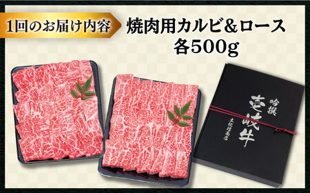 【全3回定期便 】壱岐牛 焼肉 （ロース・カルビ）各500g 《壱岐市》【土肥増商店】 肉 牛肉 焼き肉 ロース カルビ BBQ 焼き肉 赤身 [JDD015]   200000 200000円 20万円