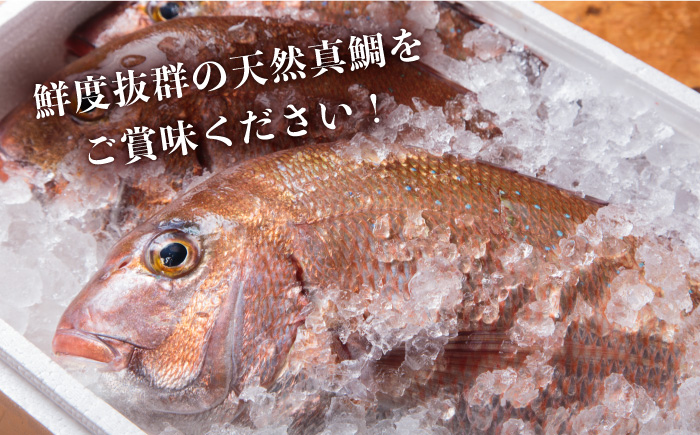 鯛茶漬け 天然鯛 6人前 ギフト セット 《壱岐市》【平山旅館壱岐もの屋】[JAI002] タイ お茶漬け プレゼント 贈り物 22000 22000円  のし ギフト 海産物