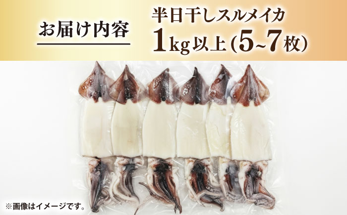 スルメイカ　半日干し 1kg以上 5~7枚《壱岐市》【馬渡水産】 [JAQ029]