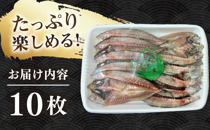 あじ開きざんまい 約100g×10枚《壱岐市》【馬渡水産】 アジ あじの開き アジの開き ひもの 干物 朝食 冷凍配送 [JAQ034]