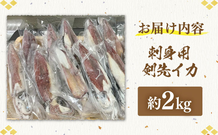 刺身用 剣先イカ 約2kg（急速冷凍）《壱岐市》【魚助】 イカ いか 剣先いか ケンサキイカ刺し身  鮮魚 海鮮 [JFX001]