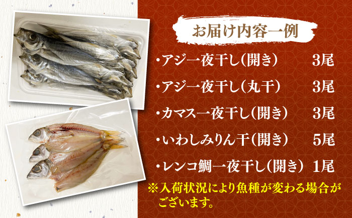 地魚 田舎干物セット 5種《壱岐市》【魚助】 干物 ひもの 海産物 朝食 海鮮 アジ あじ カマス イワシ アジの開き [JFX005]:  壱岐市ANAのふるさと納税