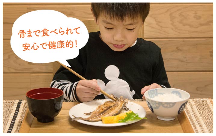 長崎県産旬の干物(2~4枚)《壱岐市》自家用【メイリ・キッチン】[JBD015] 11000 11000円