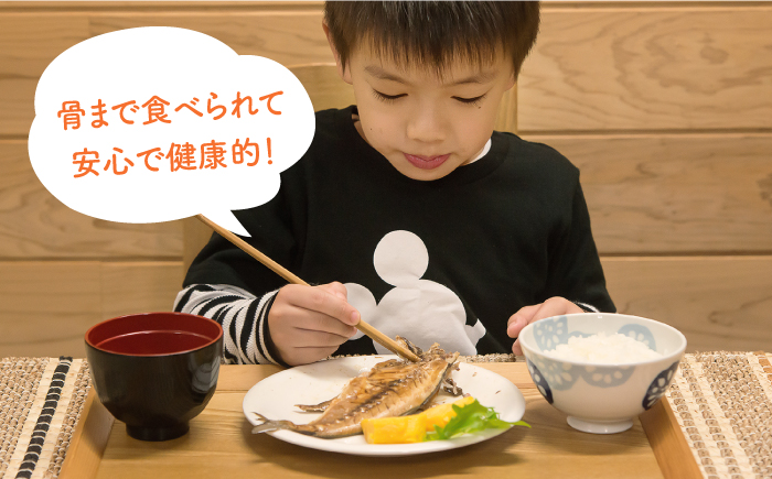 【全2回定期便】F 長崎県産　干物・うにめしの素セット（木箱無し） [JBD070]