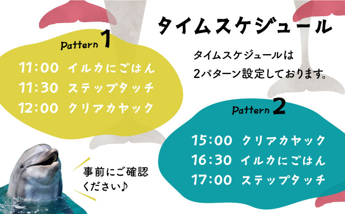 イルカふれあいエンジョイパック 1名様分 [JBF033]  長崎県 長崎 壱岐市 壱岐 体験 アクティビティ 30000 30000円 3万円