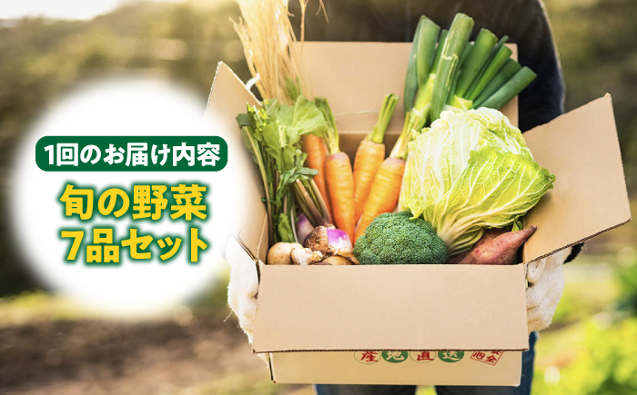 【全2回定期便】旬の野菜セット 7品《壱岐市》【壱岐市農業協同組合】季節 健康 栄養 やさい 詰め合わせ [JBO131] 20000 20000円