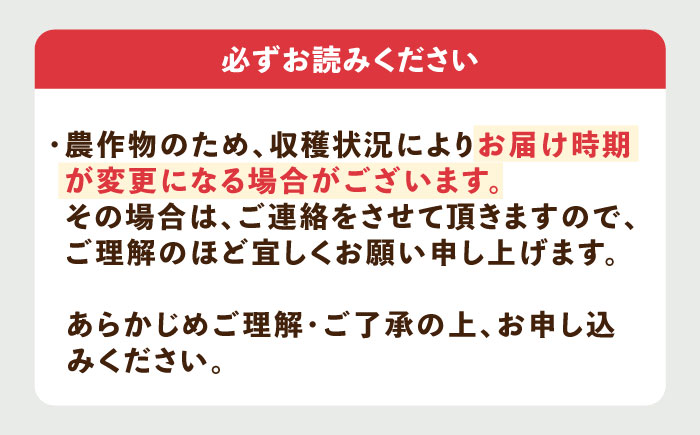 【先行予約】【2026年3月以降順次発送】壱岐市産 いちご ゆめのか 1kg（250g×4パック）《壱岐市》【壱岐市農業協同組合】 イチゴ フルーツ 果物 スムージー 完熟 春 先行予約 数量限定 [JBO138] 12000 12000円
