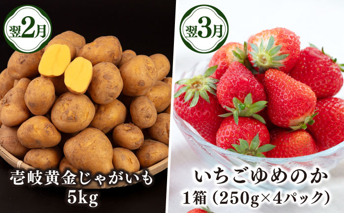 【先行予約】【全6回定期便】壱岐産農産物定期便【2025年10月下旬以降順次発送】《壱岐市》【壱岐市農業協同組合】米 コシヒカリ じゃがいも いちご 野菜 セット [JBO159]