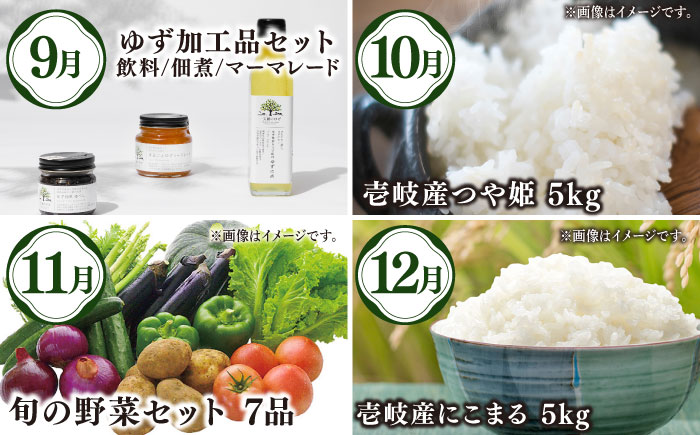 【全12回定期便】【先行予約】壱岐選りすぐり定期便【2025年10月下旬以降順次発送】《壱岐市》【壱岐市農業協同組合】 米 野菜 メロン ステーキ [JBO160]