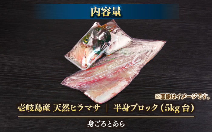 壱岐島産天然ヒラマサ（5キロ台・半身ブロック） 《壱岐市》【壱岐島　玄海屋】[JBS086] ヒラマサ 魚 刺身 煮物 カルパッチョ お寿司 55000 55000円