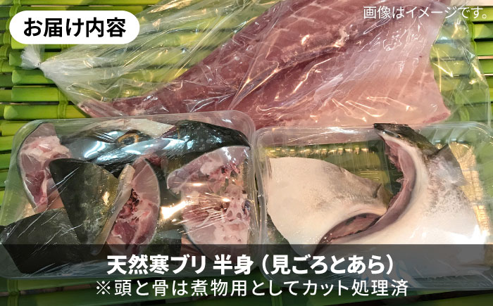 【1/16～3月末お届け】天然 寒ブリ（一本丸ものサイズ11キロ台 半身ブロック）《壱岐市》【壱岐島 玄海屋】 [JBS101] 92000 92000円