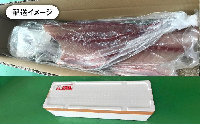 壱岐島産天然寒ブリ（14ｷﾛ台・3枚おろし） [JBS113]