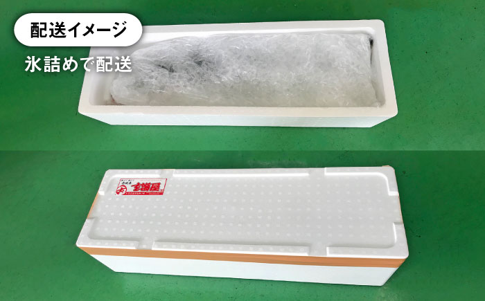 【お歳暮対象】【年内発送】【お正月用】壱岐島産天然寒ブリ（13ｷﾛ台・丸もの） [JBS115]