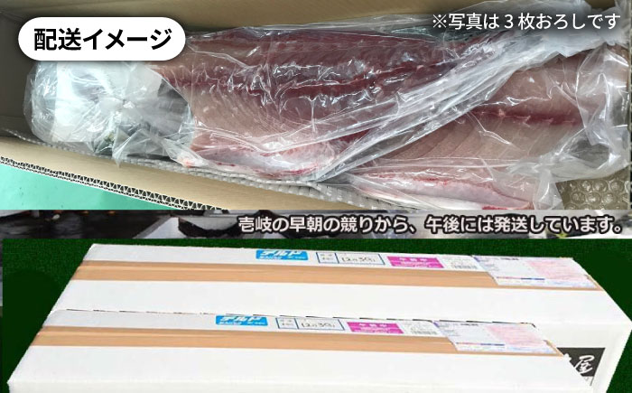 【1/16～3月末お届け】天然 寒ブリ（一本丸ものサイズ14キロ台 半身ブロック）《壱岐市》【壱岐島 玄海屋】 [JBS121]