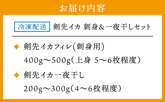 ケンサキイカ 刺身 & 一夜干し セット 剣先イカ 烏賊 《壱岐市》 【一支國屋】 おつまみ フィレ [JCC009] 20000 20000円