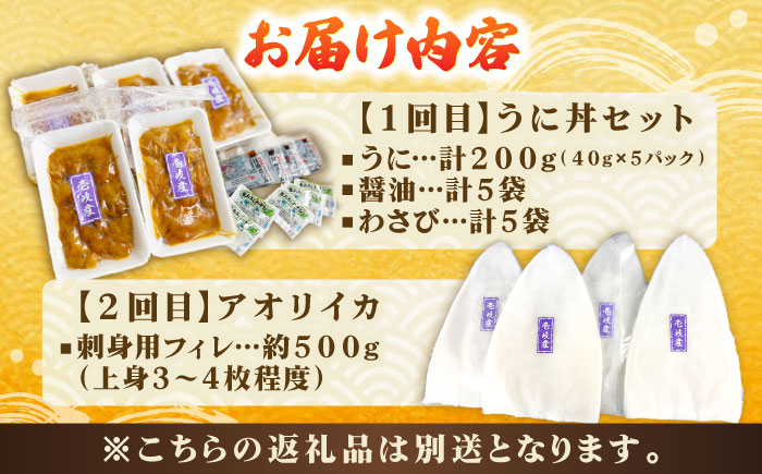 【2回定期便】 壱岐産 うに丼セット アオリイカ 月替わり 定期便 《壱岐市》 【一支國屋】海鮮 うに うに丼 いか イカ アオリイカ 刺身 お刺身 冷凍配送 [JCC026]