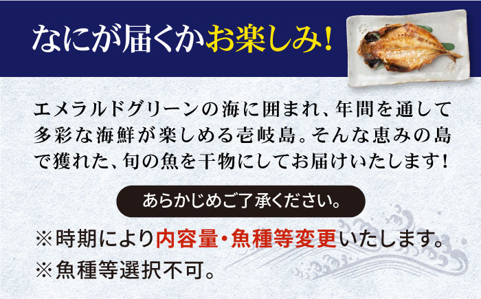 【全3回定期便】旬の海産物 干物詰め合わせ Bセット 《壱岐市》【マルミ海産物】[JCY006] 45000 45000円 干物 ひもの みりん干し アジ タイ カマス アジの開き 朝食 鮮魚