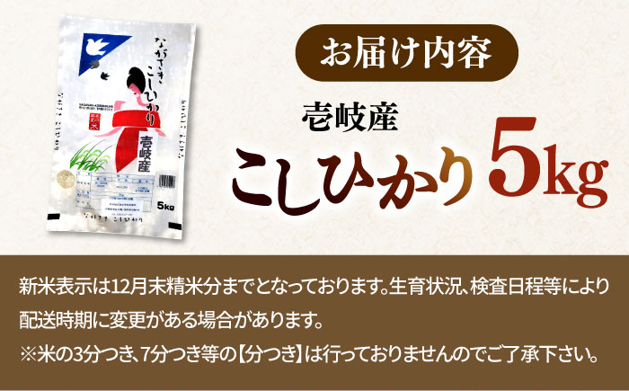 【R6年度産】こしひかり 5kg《壱岐市》 【長米壱岐営業所】[JCZ021] ごはん ご飯 こしひかり コシヒカリ 17000 17000円