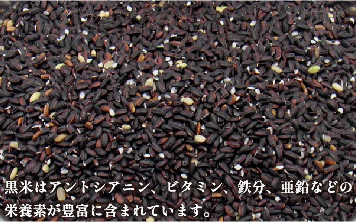 古代米 計3kg (3種各1kg) 原の辻遺跡《壱岐市》【天下御免】 [JDB126] 17000 17000円