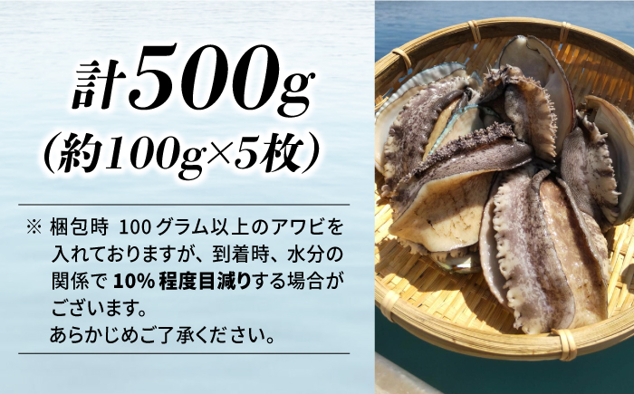 【お歳暮対象】国産養殖アワビ 活き！壱岐！アワビ 計500g（約100g×5枚）《壱岐市》【住吉水産】アワビ 鮑 養殖 貝 海産物 魚介 魚貝 産地直送 お刺身 冷蔵発送 [JDQ007]