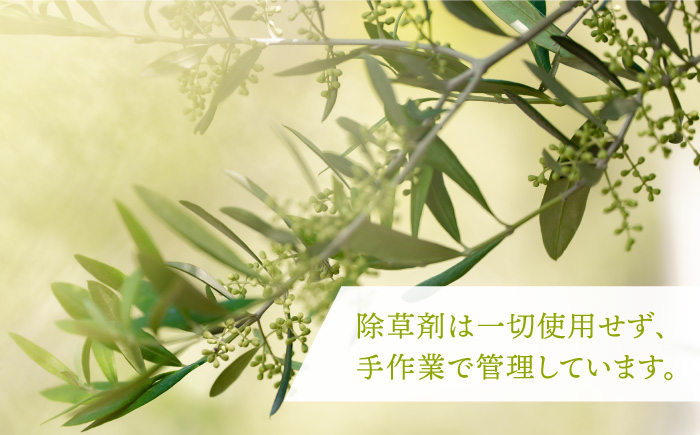 【年内発送】リップクリーム ikicael オリーブリップ 3本セット 《壱岐市》【壱岐オリーブ園】[JDU005] 17000 17000円