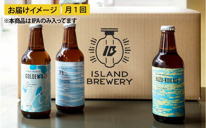 【全12回 定期便 】クラフトビール 地ビール  IPA 6本 【ISLAND BREWERY】 《 壱岐市 》[JED014] 204000 204000円