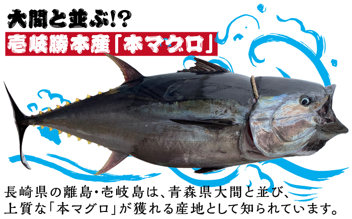 【数量限定】壱岐産 本マグロ 赤身・中トロ セット 1kg（各約500g） 《壱岐市》【大幸物産】 マグロ 鮪 刺身 中トロ   8万 [JEH020] 80000 80000円 8万円