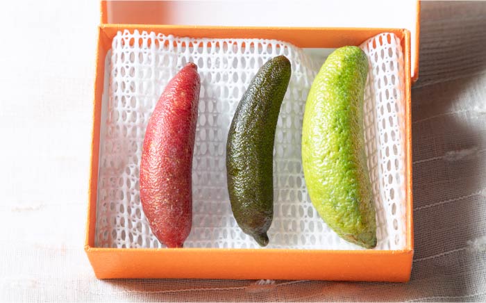 【先行予約】フィンガーライム 50g 《壱岐市》【梛ファーム】 [JEJ001] ライム フルーツ 果物 新鮮 18000 18000円