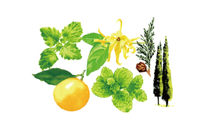 NOMAD FISH SOAP（おさかな石けん）× 3尾 [JEK005] 22000 22000円 石鹸