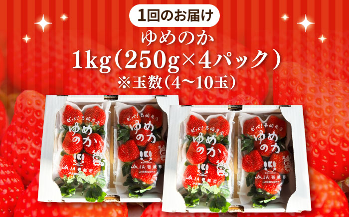 【全3回定期便】【先行予約】ゆめのか 約250g×4パック【2026年2月以降順次発送】《壱岐市》【Strawberry Gang】 [JEM002] セット いちご イチゴ 苺 定期便 食べ比べ 果物 フルーツ スムージー 45000 45000円