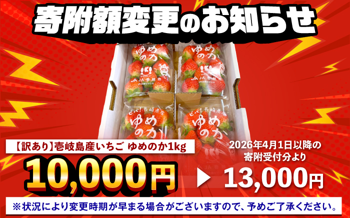 【訳あり/簡易包装】ゆめのか 約250g×4パック《壱岐市》【Strawberry Gang】 [JEM003-CP02] イチゴ 苺 果物 フルーツ スムージー 10000 10000円 冷蔵配送 訳あり 【～3/31までの寄附額】