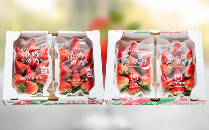 【先行予約】いちご イチゴ 苺 ゆめのか・恋みのり 計 1kg「ゆめ恋セット」【2026年2月以降順次発送】《壱岐市》【蒼花】 [JEO001] 15000 15000円