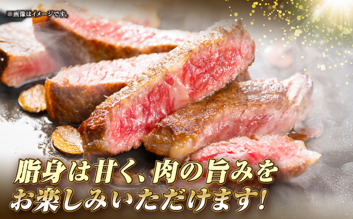 【全6回定期便】長崎和牛 サーロイン ステーキ 250g×2 《壱岐市》【KRAZY MEAT】 A5 A4 冷凍 和牛 肉 牛肉 BBQ [JER122]