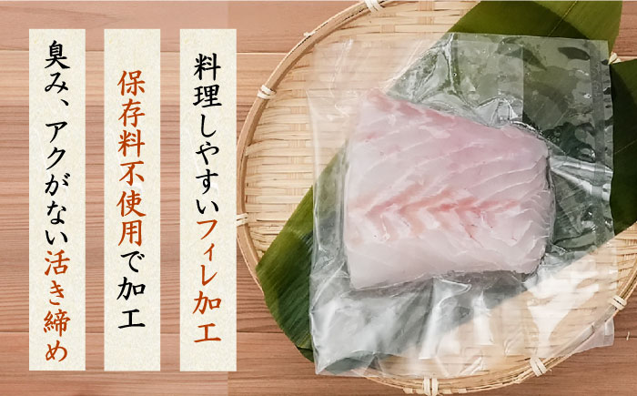 【ANA限定】ヒラマサ、クエ 2人前 壱岐玄海船団丸の魚（切り身）セット・食べ比べ ～ANAシェフ和食レシピ付き～[JFC004]